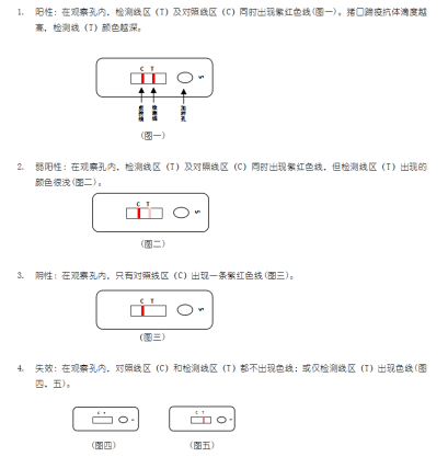 狂犬病毒抗原膠體金快速檢測(cè)卡